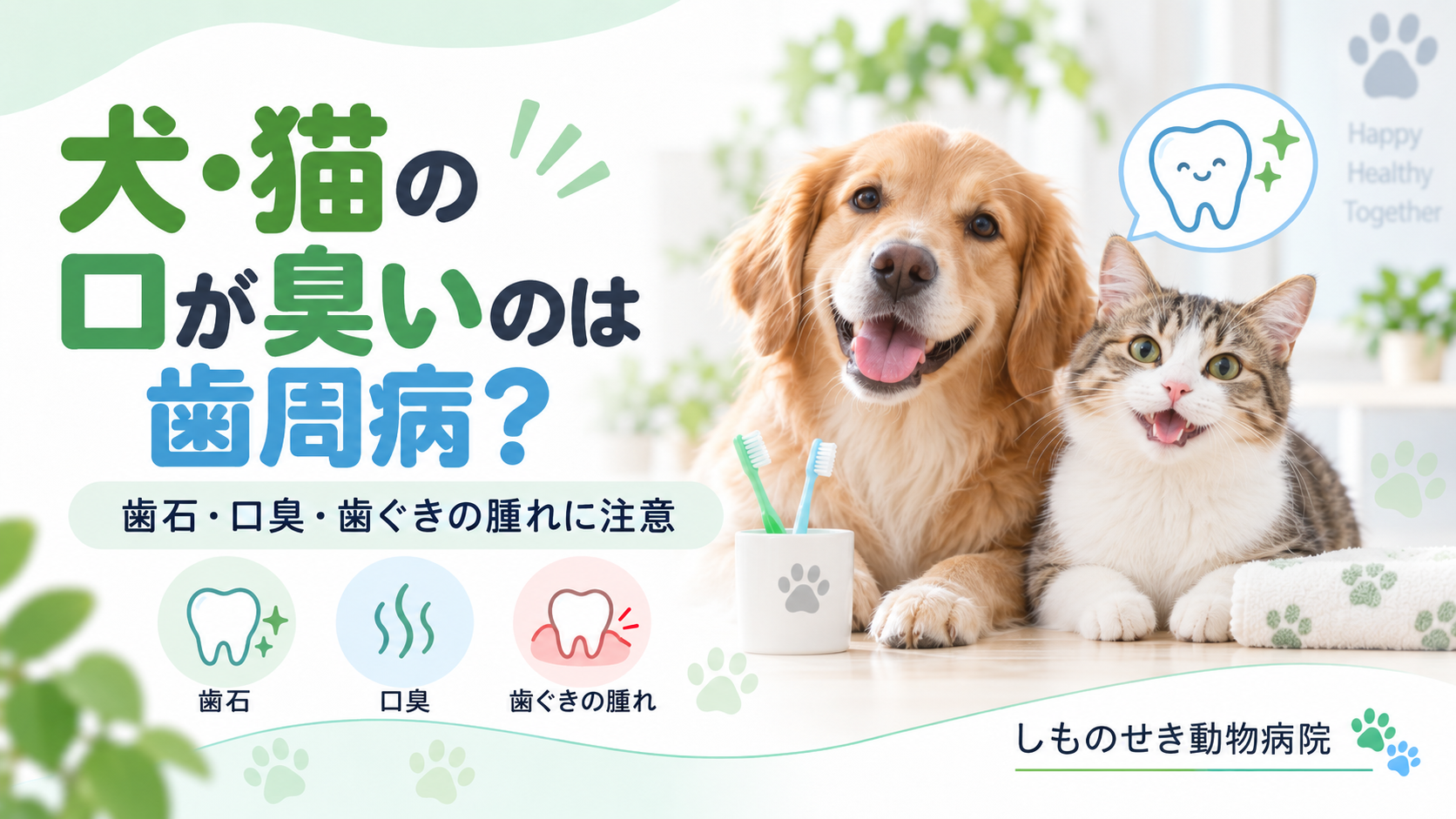 犬と猫の歯周病・口臭・歯石について解説するアイキャッチ画像